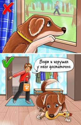 10 вещей, которые вызывают стресс у наших собак, и объятия — одна из них - milayaya.ru