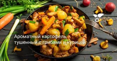 Ароматный картофель, тушенный с грибами и курицей - sadogorod.club