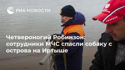 Четвероногий Робинзон: сотрудники МЧС спасли собаку с острова на Иртыше - mur.tv - Россия - Москва - Омск