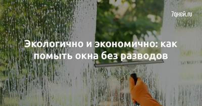 Экологично и экономично: как помыть окна без разводов - 7days.ru