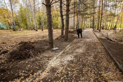 В Михайловской роще построят площадки для выгула собак и паркура - mur.tv