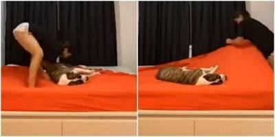 Ленивая собака отказывается уходить с кровати - mur.tv