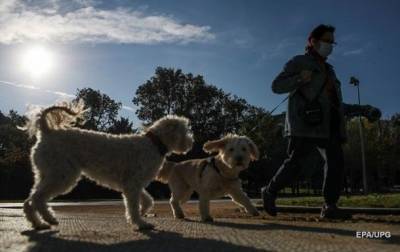 Владельцев собак призвали соблюдать социальную дистанцию между животными - mur.tv - Швейцария