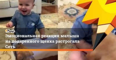 Эмоциональная реакция малыша наподаренного щенка растрогала Сеть - mur.tv