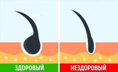 4 способа проверить, все ли в порядке с волосами, и как грамотно за ними ухаживать - milayaya.ru