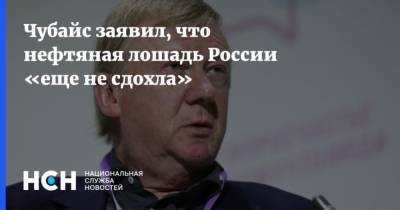 Анатолий Чубайс - Чубайс заявил, что нефтяная лошадь России еще не сдохла - mur.tv - Россия