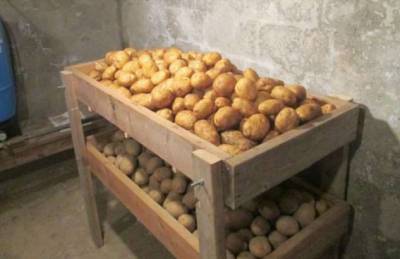 5 ошибок хранения, из-за которых запасы картофеля быстро портятся - chert-poberi.ru