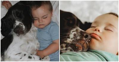 Мальчик и его лучший друг-пес неразлучны с первых дней жизни - mur.tv