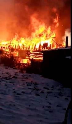 В Сети появилось видео с места пожара в Кемерове, где погибли девять лошадей - mur.tv - Кемеровская обл. - Кемерово