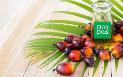 Пальмовое масло – факты о нашумевшем продукте - sadogorod.club - Египет - Индонезия - Малайзия