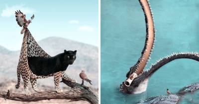 16 сюрреалистичных снимков животных, которым автор добавил воображаемые умения и повадки с помощью фотошопа - mur.tv - Франция
