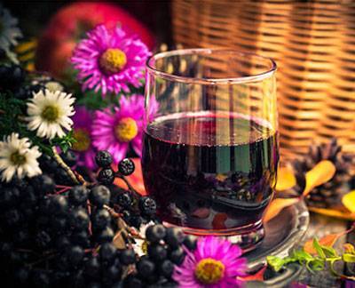 Чем полезен сок черноплодной рябины для здоровья и как его приготовить - inmoment.ru - Россия - штат Флорида - Канада