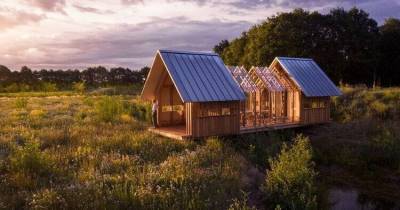 ФОТО. Слиться с природой: современный деревянный дом с прозрачными стенами и крышей - lifehelper.one