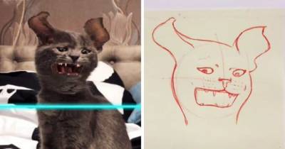 Девушка рисует смешные портреты котов по видео. Хозяева снимают их с фильтром, а она превращает это в шедевры - mur.tv - Мельбурн