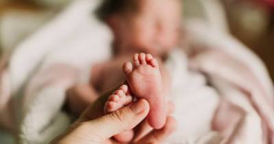 День преждевременно рожденного ребенка: что это значит - womo.ua - Новая Зеландия