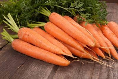 Лучшие сорта моркови для зимнего хранения - sadogorod.club