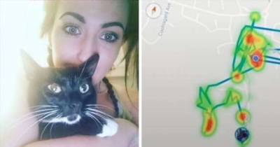 Девушка установила GPS-трекер на свою кошку и раскрыла ее тайные маршруты (5 фото) - chert-poberi.ru - Ирландия