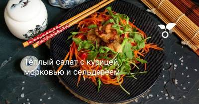 Тёплый салат с курицей, морковью и сельдереем - sadogorod.club