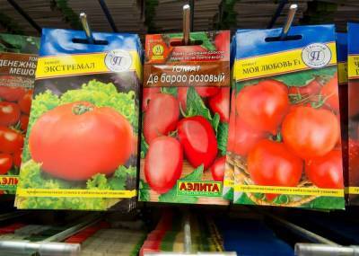 Почему семена томатов нужно покупать уже зимой и как рассчитать, сколько пакетиков вам нужно - sadogorod.club