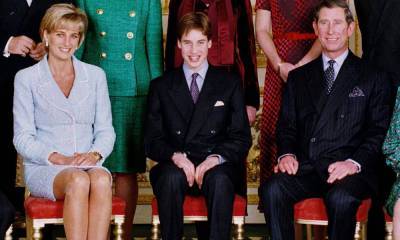 принцесса Диана - королева Елизавета - принц Чарльз - Лучший наследник: почему Диана считала, что Чарльз должен уступить престол Уильяму - marieclaire.ru