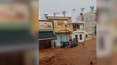 Сильное наводнение на острове Крит разрушило приюты для собак - mur.tv