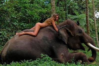 Модель попозировала голышом на слоне в лесу и была пристыжена в сети - mur.tv