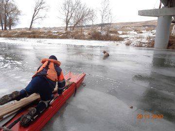В Башкирии спасли собаку, провалившуюся под лёд - mur.tv - республика Башкирия