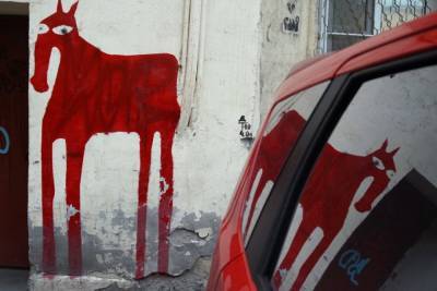 Чиновники предложили решить судьбу граффити с лошадью на Васильевском голосованием - mur.tv