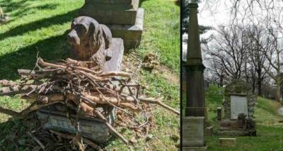 Почему больше 100 лет люди приносят деревяные палки на могилу пса на кладбище в Бруклине - mur.tv