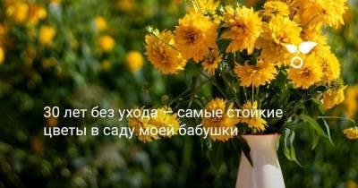 30 лет без ухода — самые стойкие цветы в саду моей бабушки - sadogorod.club - Россия