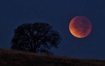 Лунное затмение 30 ноября 2020: точное время, чем опасно, что можно и нельзя делать в этот период - hochu.ua