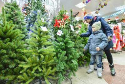 Как выбрать качественную искусственную елку, которая будет радовать не один год - novate.ru