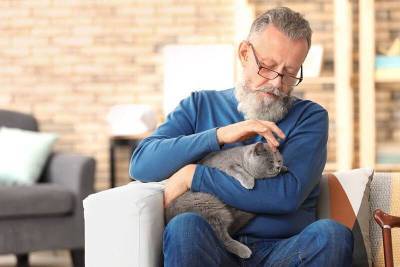 Как ухаживать за пожилой кошкой? - mur.tv
