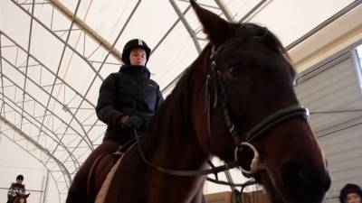 Челябинских врачей обучают верховой езде на лошадях. - mur.tv - Челябинская обл.