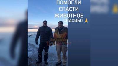 В Воронеже двое мужчин спасли провалившуюся под лёд собаку - mur.tv - Воронеж