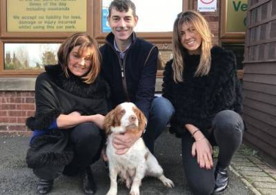 Невероятно: похищенная собака Бонни вернулась домой спустя шесть лет - mur.tv - Англия