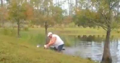 Пенсионер-герой вытащил своего щенка из пасти аллигатора - mur.tv - Россия - штат Флорида - Usa