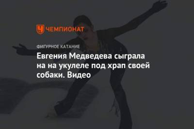 Этери Тутберидзе - Евгения Медведева - Брайан Орсер - Евгения Медведева сыграла на на укулеле под храп своей собаки. Видео - mur.tv - Россия - Канада