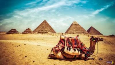 Путевка в Египет: что нужно знать о новых правилах отдыха - chert-poberi.ru - Египет