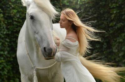 Ученые: Лошади не чувствуют привязанности и любви к своему хозяину - mur.tv