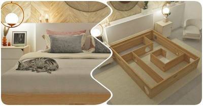 Современная кровать, в которую влюбятся не только люди, но и котики - mur.tv - Колумбия
