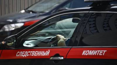 В Астрахани возбудили дело из-за нападения собак на жителей - mur.tv - Россия - Астрахань - Астраханская обл.