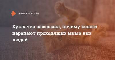 Юрий Куклачев - Куклачев рассказал, почему кошки царапают проходящих мимо них людей - mur.tv