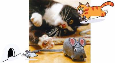 В подарок кошке на Новый год можно сделать игрушечную мышку - sadogorod.club