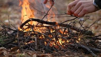 Костер, который горит 14 часов без присмотра, и самодельная печь на природе - novate.ru
