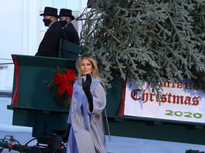Мелания Трамп - Последнее Рождество в Белом доме: что Мелания Трамп хотела сказать новогодними декорациями - marieclaire.ru - Сша - New York