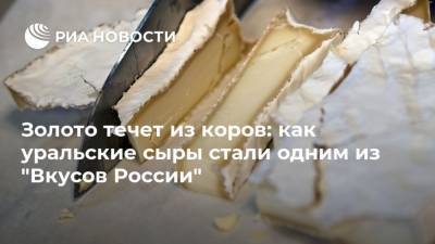 Золото течет из коров: как уральские сыры стали одним из “Вкусов России” - mur.tv - Россия - Москва