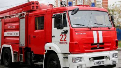 При пожаре в Нижнем Новгороде погиб мужчина и около 30 собак - mur.tv - Нижний Новгород