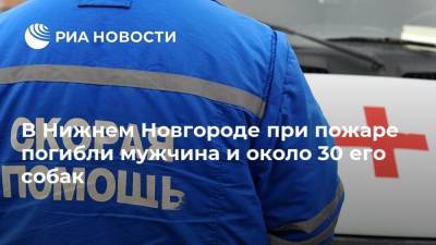 В Нижнем Новгороде при пожаре погибли мужчина и около 30 его собак - mur.tv - Нижний Новгород