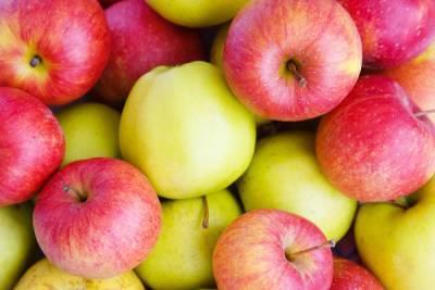 Названы самые полезные по цвету яблоки nbsp - woman.rambler.ru